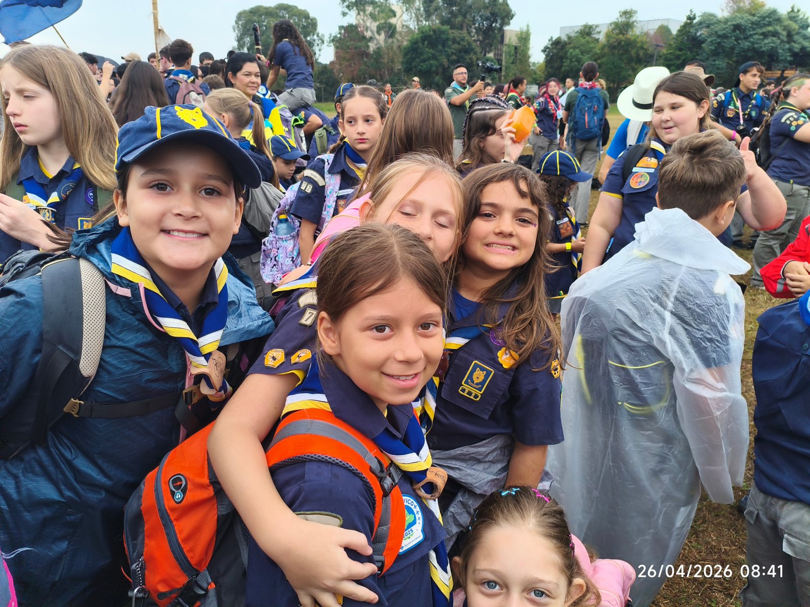 Alcateias Guará e Gris em atividade